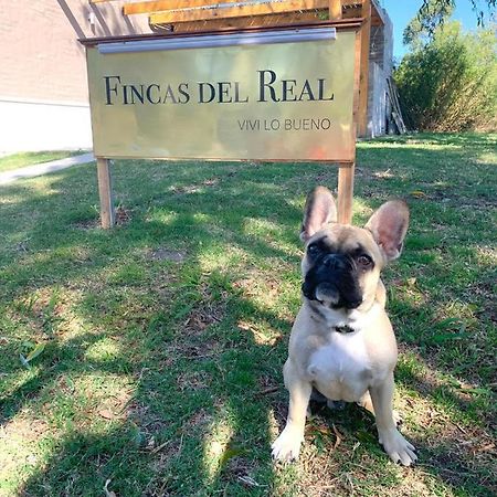 Fincas Del Real كولونيا ديل ساكرامينتو المظهر الخارجي الصورة